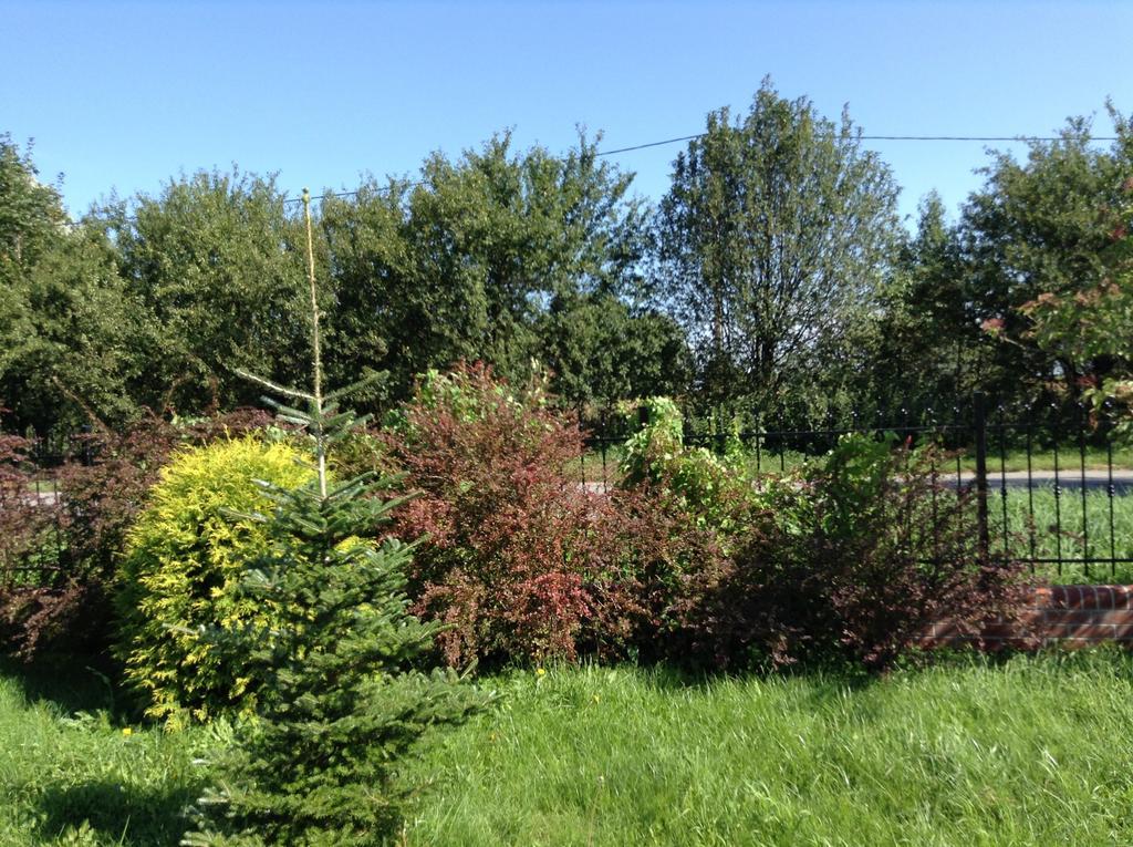 Landhaus Mit Garten Szczecin Exteriör bild