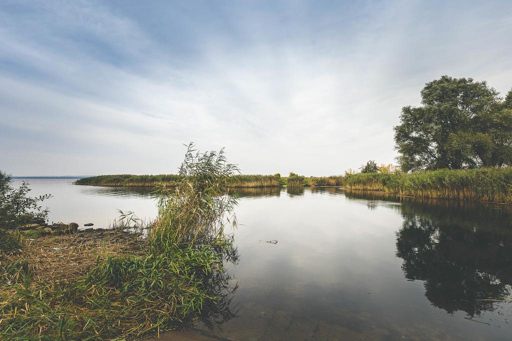 Landhaus Mit Garten Szczecin Exteriör bild